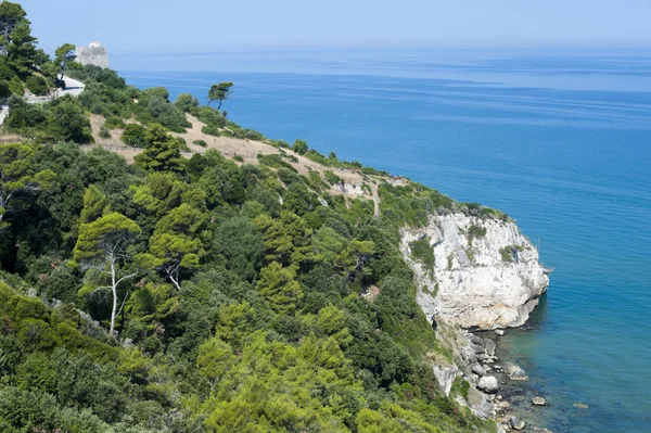 Die Küste des Gargano (Apulien, Italien) im Sommer — Stockfoto