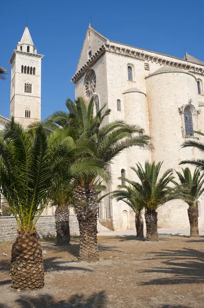 Trani (puglia, Włochy) – średniowieczna Katedra i palmy — Zdjęcie stockowe