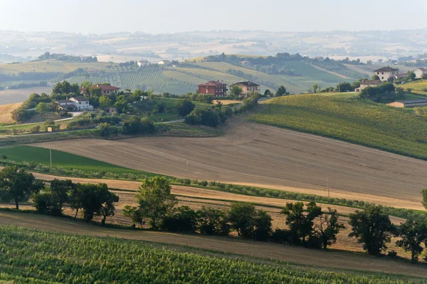 Marscher (Italien) - landskap på sommaren — Stockfoto