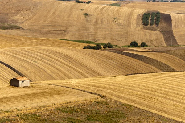 Landscape in Basilicata (Italy) near Melfi at summer — Stock Photo, Image