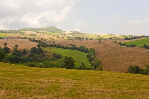 Montefeltro (Marche, Italia), paesaggio vicino Urbino d'estate — Foto Stock