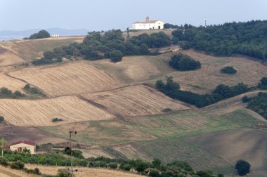 Basilicata (Potenza) - yatay yaz, Oppido Lucano yakınındaki