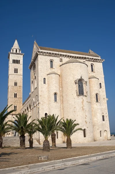 Trani (Apulien, Italien) - medeltida katedral och palmer — Stockfoto