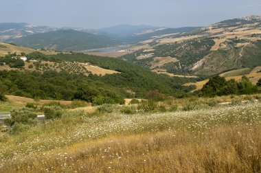 Basilicata yakınındaki Acerenza (İtalya) yazlık manzara