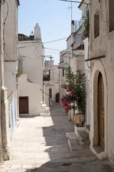 Peschici (Gargano, Puglia, Italia) una calle del antiguo pueblo —  Fotos de Stock