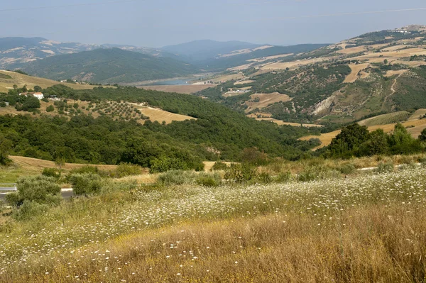 Krajobraz w Basilicata (Włochy) w pobliżu Acerenza na lato — Zdjęcie stockowe
