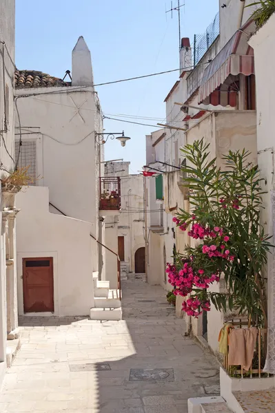 Peschici (Gargano, Puglia, Itália) uma rua da antiga aldeia — Fotografia de Stock