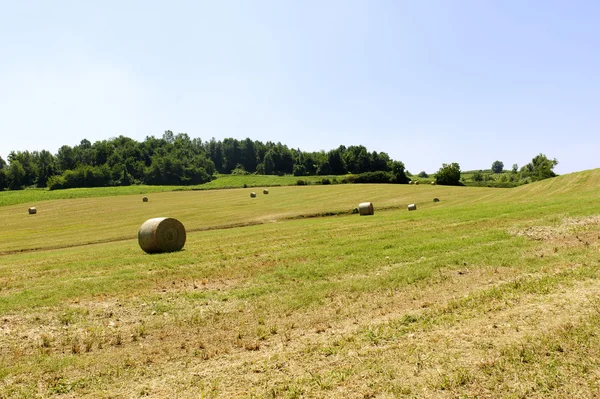 stock image Landscape in the Oltrepo Pavese (Italy)