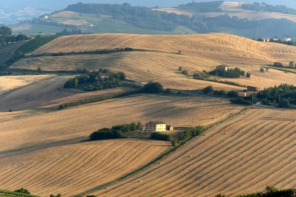 Marche (Italia) - Paesaggio estivo, fattoria — Foto Stock