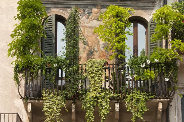 Verona (Veneto, Italy), Piazza Erbe, historic house with frescos — Stock Photo, Image