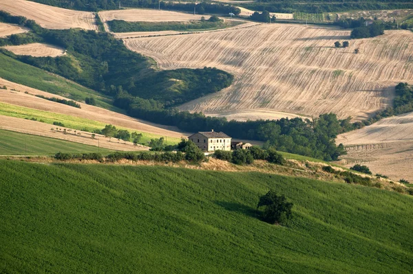 Αγρόκτημα πορείες (Ιταλία) - τοπίο το καλοκαίρι, — Φωτογραφία Αρχείου