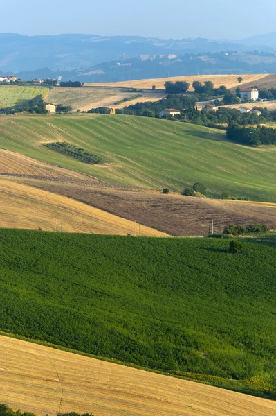 Marches (Italy) - Landscape at summer — Stock Photo, Image