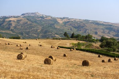 Basilicata yakınındaki Acerenza (İtalya) yazlık manzara