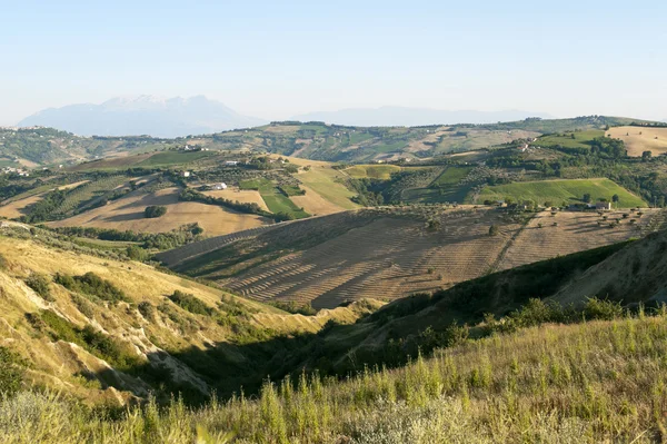Krajobraz parku przyrody Atri (teramo, Abruzja, Włochy), w lecie — Zdjęcie stockowe