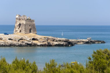 gargano (puglia, İtalya), yaz kıyısında