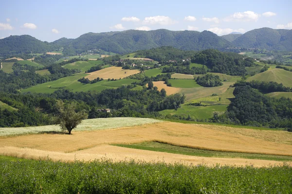 Krajina v Oltre Pavese (Itálie) — Stock fotografie