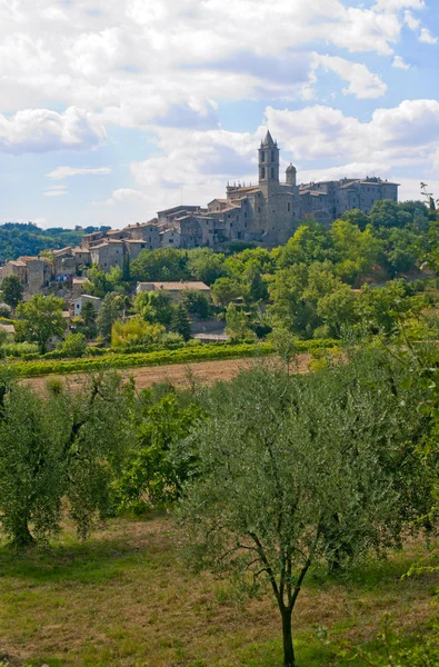 Baschi (terni, umbria, Włochy) - Stare Miasto i drzew oliwnych — Zdjęcie stockowe