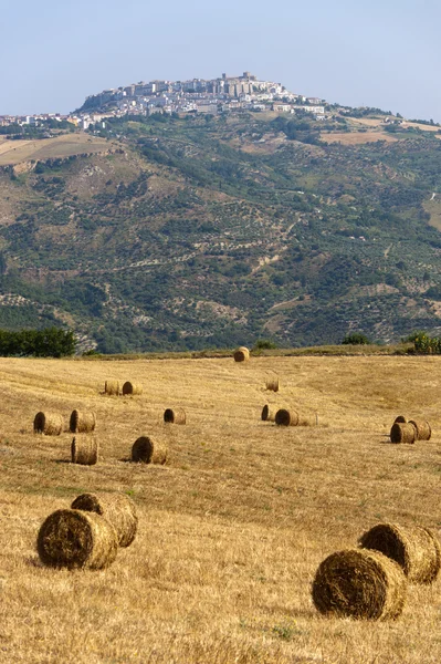Пейзаж в Базиликате (Италия) недалеко от Ачеренцы летом — стоковое фото