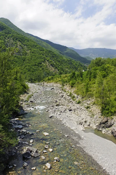 The Trebbia river at summer — Stock Photo, Image
