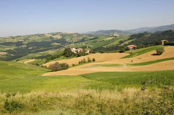 Landschaft im oltrepo pavese (italien) — Stockfoto