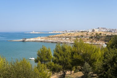 Vieste (gargano, puglia, İtalya), yaz, peyzaj