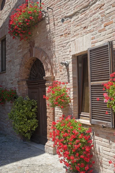 Sarnano (Macerata, Marcas, Italia) - Antigua casa con flores rojas —  Fotos de Stock