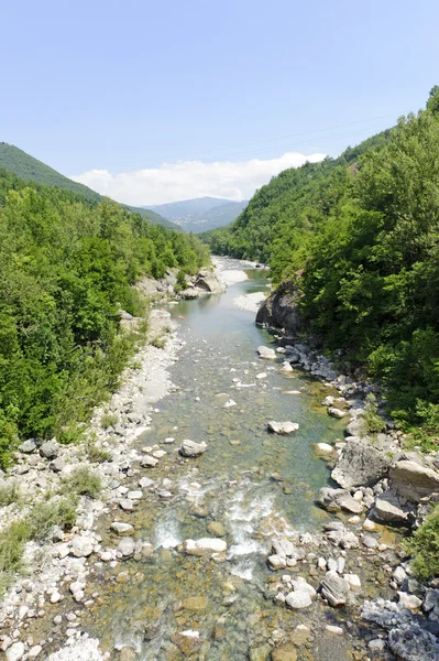 El río Trebbia en verano —  Fotos de Stock