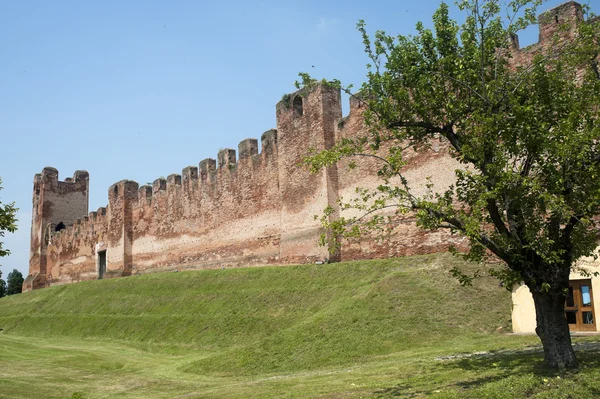 Castelfranco veneto (treviso, veneto, Itálie): starověké zdi a — Stock fotografie