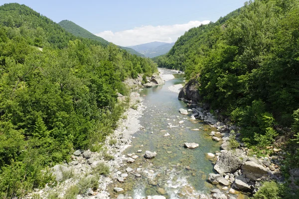 De rivier trebbia op zomer — Stockfoto