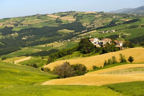 Пейзаж в Павезе Олтрепо (Италия) ) — стоковое фото