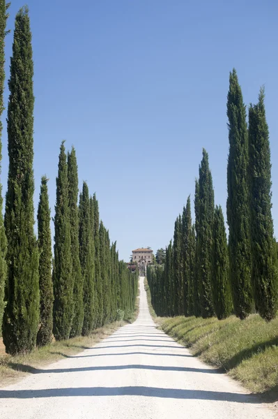 Amelia (Terni, Umbria, Italy) - Old villa and cypresses — Stock Photo, Image