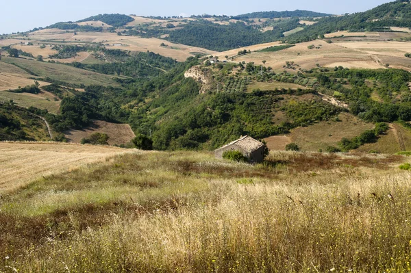 Krajobraz w Basilicata (Włochy) w pobliżu Acerenza na lato — Zdjęcie stockowe