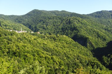 Casoni (Passo del Fregarolo)