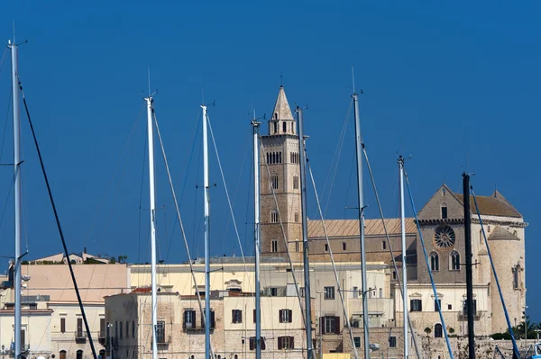 Trani (puglia, İtalya) - liman, katedral ve evler — Stok fotoğraf