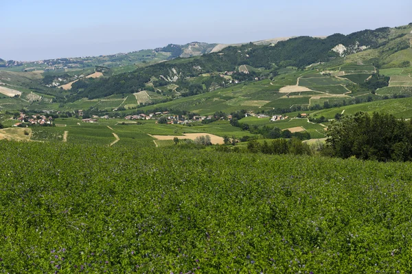 Landschap in de Oltrepo Pavese (Italië) — Stockfoto