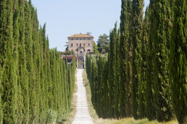 Amelia (Terni, Umbria, Italy) - Old villa and cypresses clipart