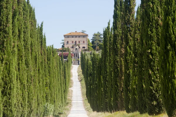Amelia (Terni, Umbria, Italy) - Old villa and cypresses — Stock Photo, Image