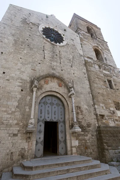 Acerenza (potenza, basilicata, Italië): kathedraal gevel — Stockfoto
