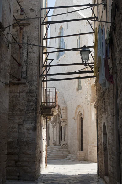 Bisceglie (Puglia, Italy) - Old street and cathedral — Stock Photo, Image