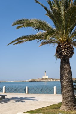 Vieste (foggia, gargano, puglia, İtalya) lighthouse Parkı