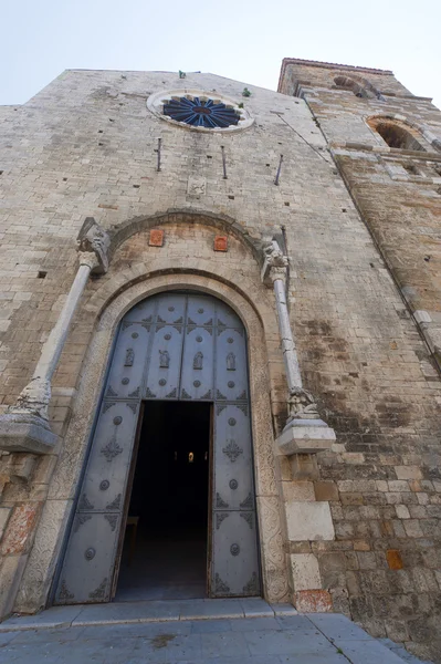 ACERENZA (potenza, basilicata, Itálie): Katedrální průčelí — Stock fotografie