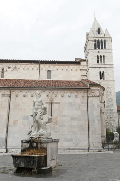 Stock image Carrara, cathedral and statue