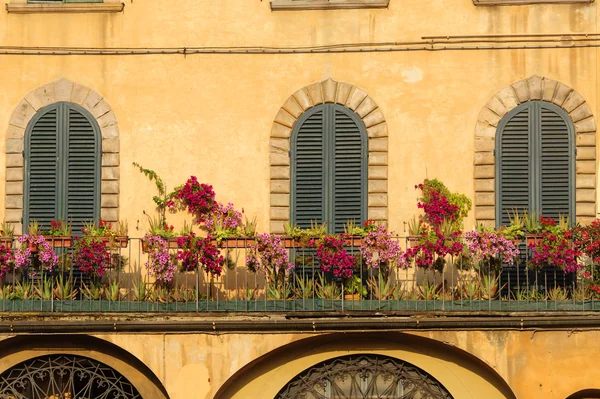 Lucca, τρία κλειστά παράθυρα — Φωτογραφία Αρχείου