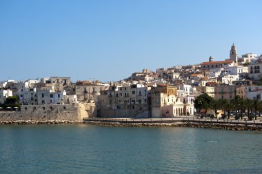 Vieste (Foggia, Gargano, Puglia, Italy) at summer clipart