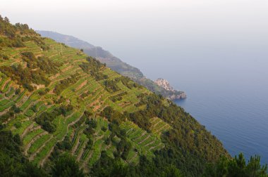 Cinqueterre