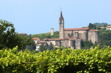 Lessinia (Verona, Veneto, italy), vineyards at summer and villa clipart