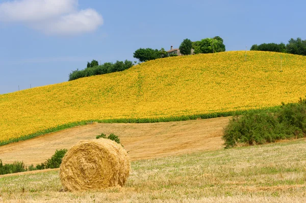 Pochody (Itálie) - krajina v létě, farma — Stock fotografie