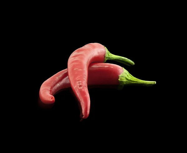 Chili papper — Stockfoto
