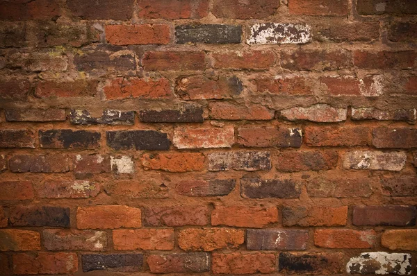 Brickwall — 스톡 사진