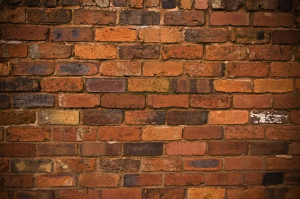 Brickwall fundo — Fotografia de Stock